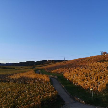 Cocon De Caractere Au Coeur Des Vignes Alsaciennes Apartman Bergheim Kültér fotó