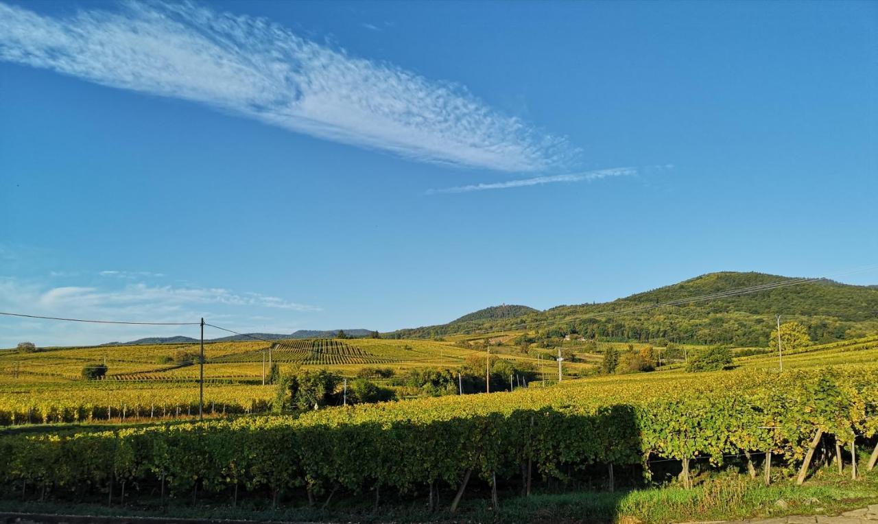 Cocon De Caractere Au Coeur Des Vignes Alsaciennes Apartman Bergheim Kültér fotó