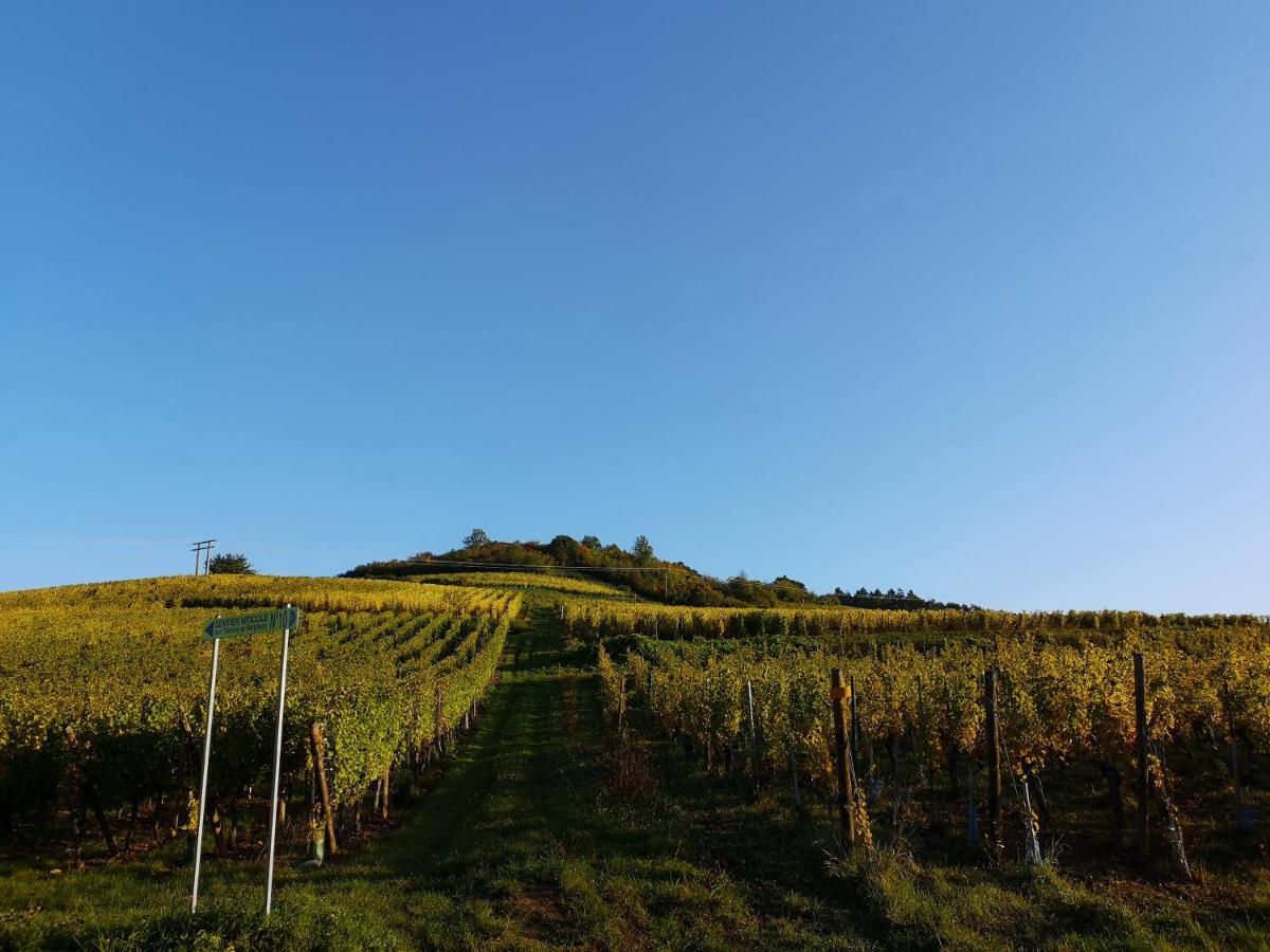 Cocon De Caractere Au Coeur Des Vignes Alsaciennes Apartman Bergheim Kültér fotó