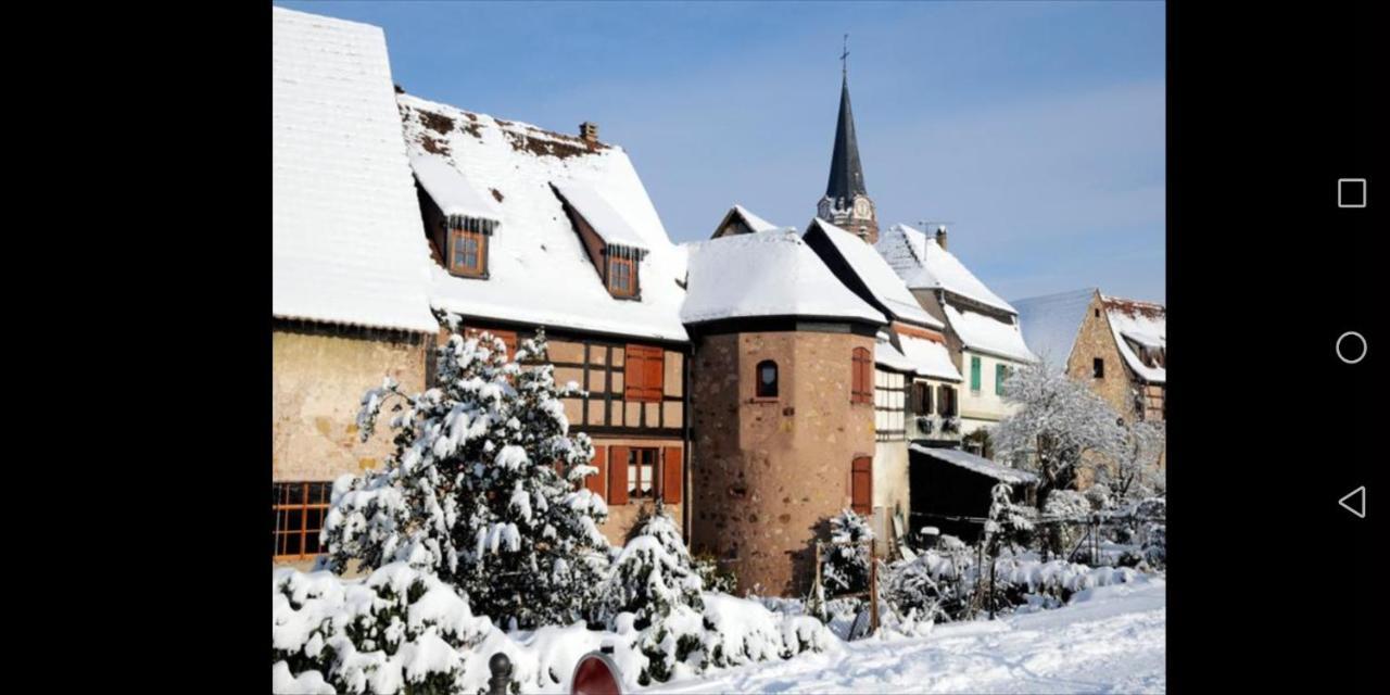 Cocon De Caractere Au Coeur Des Vignes Alsaciennes Apartman Bergheim Kültér fotó