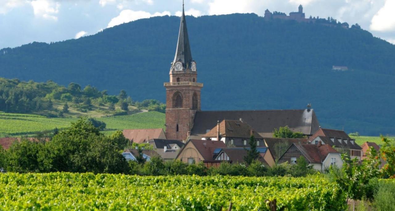 Cocon De Caractere Au Coeur Des Vignes Alsaciennes Apartman Bergheim Kültér fotó