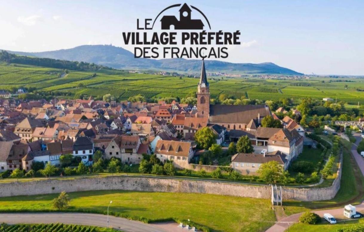 Cocon De Caractere Au Coeur Des Vignes Alsaciennes Apartman Bergheim Kültér fotó